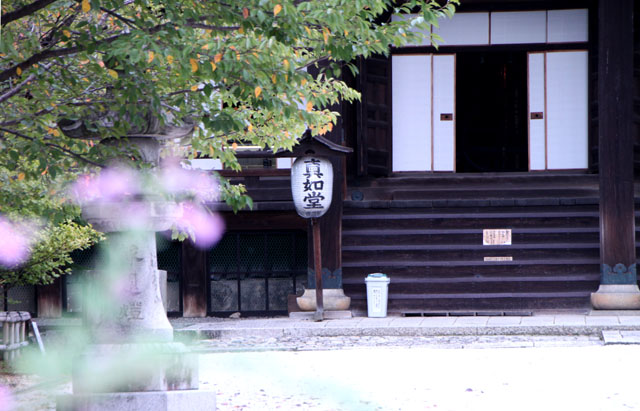 真如堂の萩_e0048413_1746795.jpg