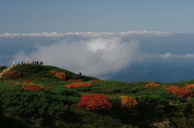 2010夏の終わり、秋の気配の北海道④_c0055515_23272518.jpg