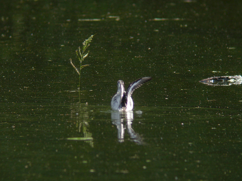 A公園Pにて-2_f0051915_21135342.jpg