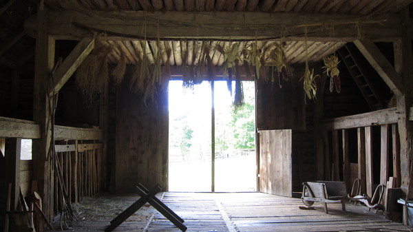 c0120817_1158172.jpg