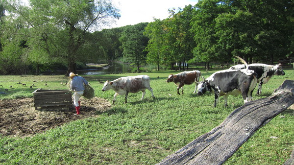 c0120817_12171098.jpg