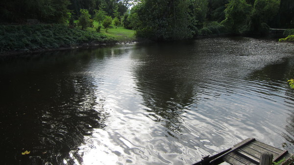 c0120817_12281036.jpg