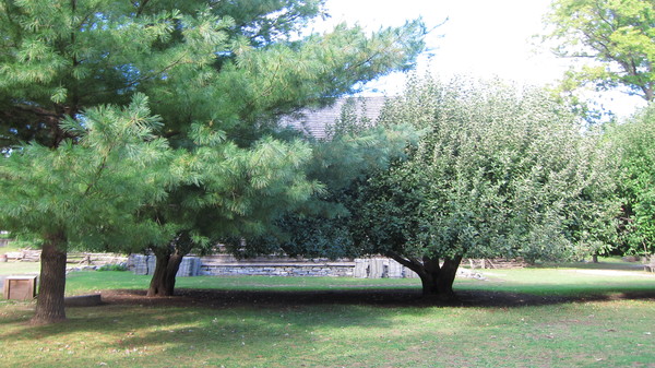 c0120817_12292328.jpg