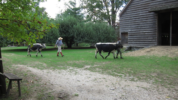c0120817_12472069.jpg