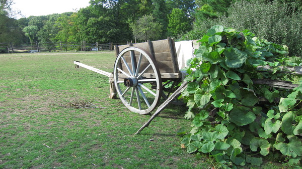 c0120817_1275437.jpg