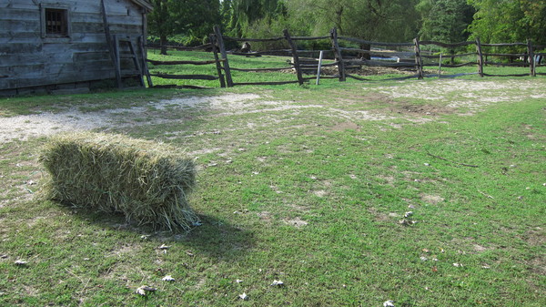 c0120817_1283163.jpg
