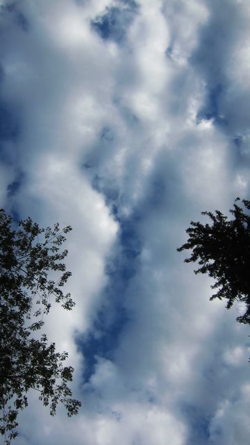 c0120817_1312977.jpg