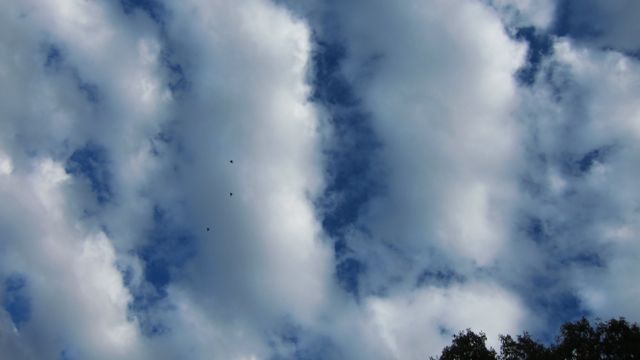 c0120817_1324750.jpg