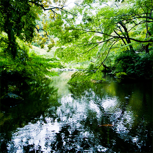 e0117517_13184327.jpg
