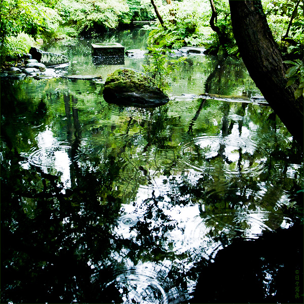 e0117517_1323782.jpg