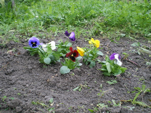 c0124619_2114810.jpg