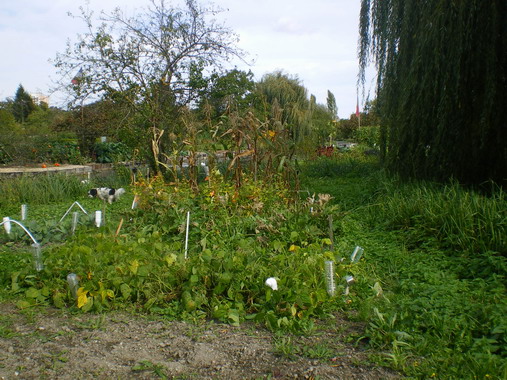 c0124619_265066.jpg