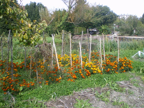 c0124619_281175.jpg