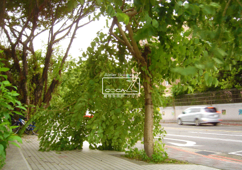 b0160123_11491756.gif