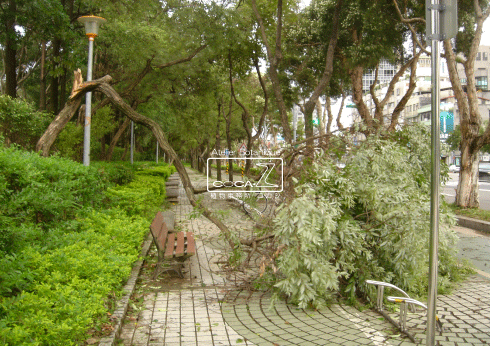 b0160123_11502731.gif
