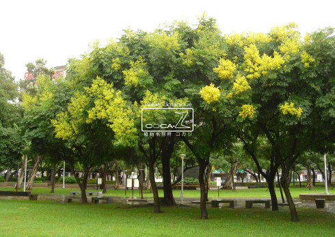 b0160123_1155868.gif