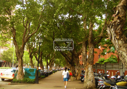 b0160123_11574143.gif