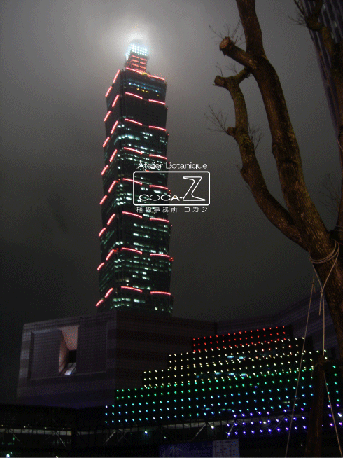 b0160123_1236564.gif