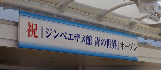 能登島水族館_c0098228_18422897.jpg