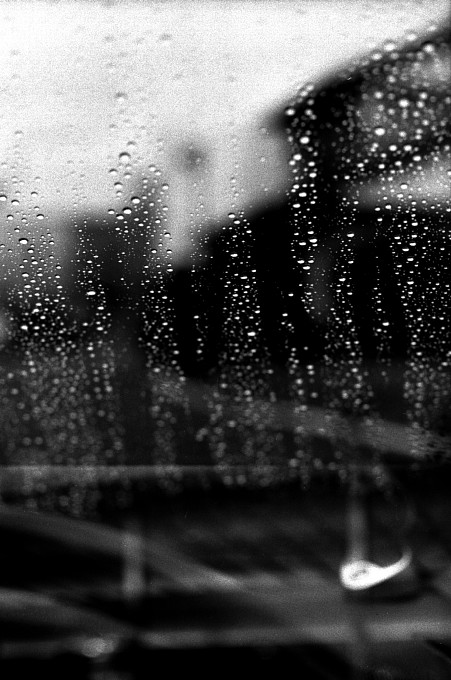 2010-10-4　雨の向こう側_c0136330_12411426.jpg