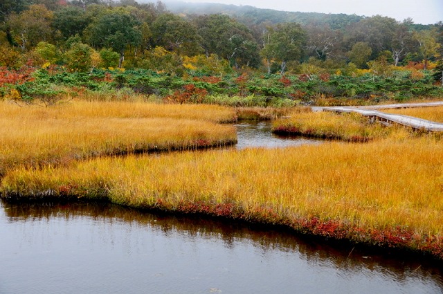 f0041230_11324025.jpg