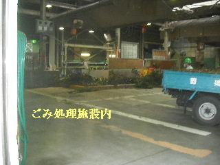 f0031037_2031320.jpg