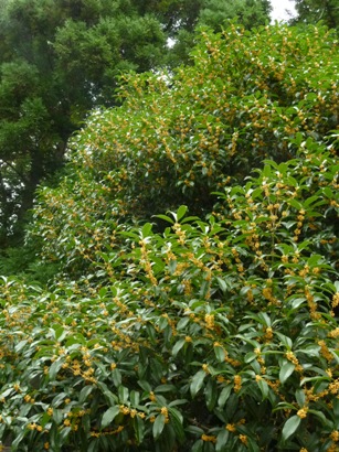 b0169238_2123839.jpg