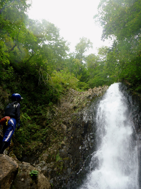 d0147338_042387.jpg