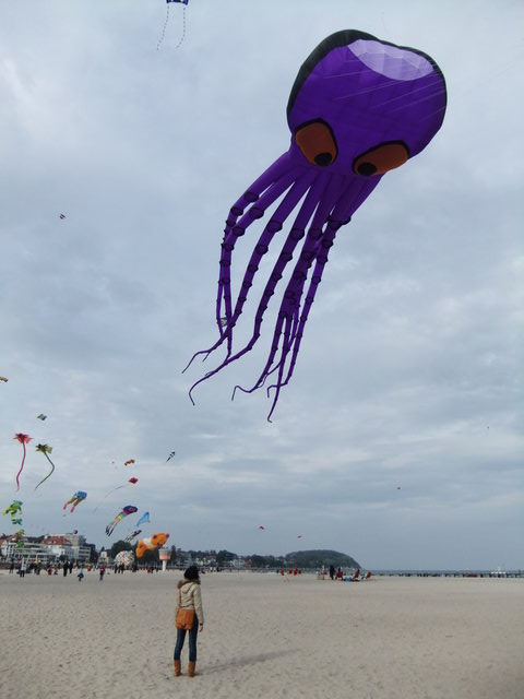 f0210340_358532.jpg