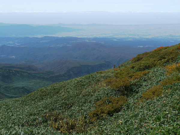 b0190242_00378.jpg