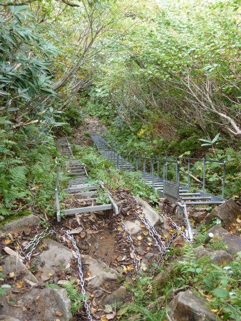 b0190242_0313.jpg