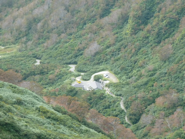 b0190242_06830.jpg