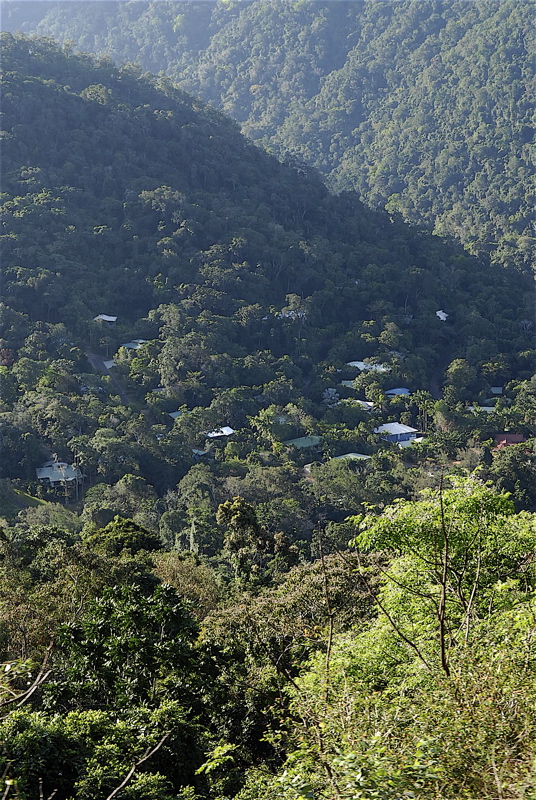 キュランダの植生と山間の住宅_b0014152_520240.jpg