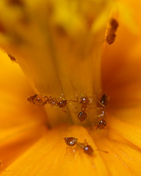 e0035757_22463373.jpg
