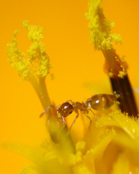 e0035757_22471566.jpg