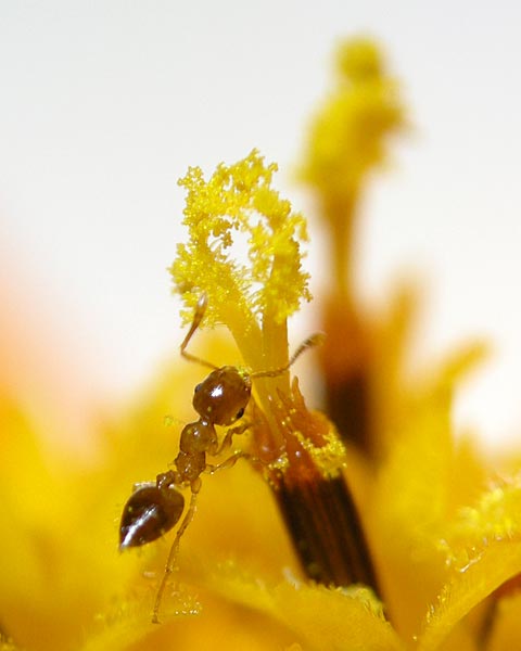 e0035757_22474440.jpg