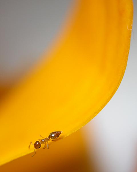 e0035757_22495623.jpg