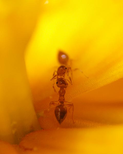 e0035757_22502093.jpg