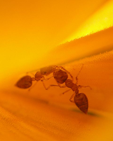 e0035757_22503445.jpg