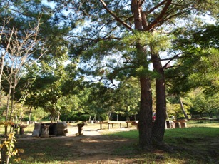 d0111558_16392130.jpg