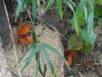 c0108460_14371316.jpg