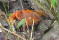 c0108460_14373738.jpg