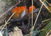 c0108460_14384283.jpg