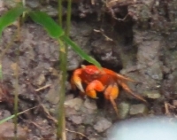 c0108460_1438655.jpg