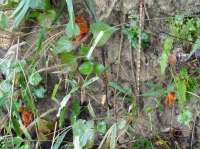 c0108460_14432051.jpg