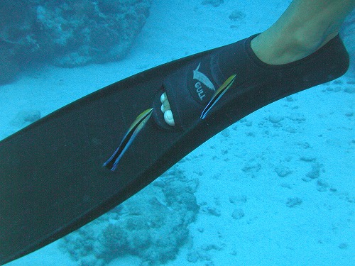 c0180460_143517.jpg