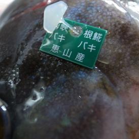 道楽もんの 海峡根ほっけ バキバキ やたいち日記