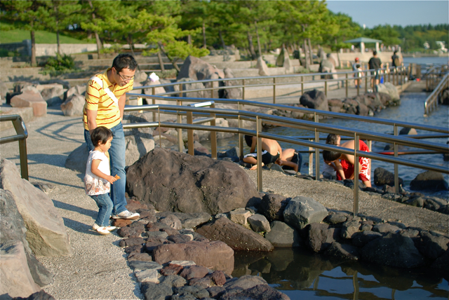 海の公園_b0136669_141889.jpg