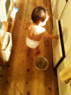 いたずら春樹_f0009169_14243877.jpg