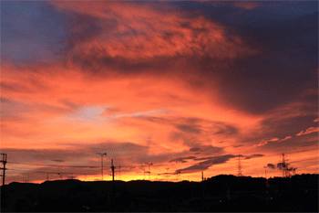 c0115572_9115850.gif